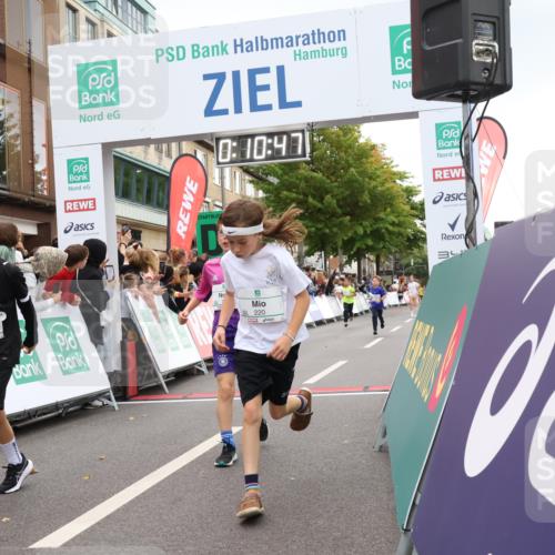 21.09.2025 - PSD Bank Halbmarathon Strokosch-Dieckow http://msf.ph/oto/8938988 21.09.2025 10:28:18 Ziel 213, 220, 253, 270, 288, 356, 425, 442 meine-sportfotos.de