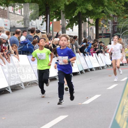 21.09.2025 - PSD Bank Halbmarathon Strokosch-Dieckow http://msf.ph/oto/8938989 21.09.2025 10:28:20 Ziel 213, 220, 240, 253, 270, 288, 425, 442 meine-sportfotos.de