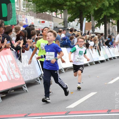 21.09.2025 - PSD Bank Halbmarathon Strokosch-Dieckow http://msf.ph/oto/8938991 21.09.2025 10:28:21 Ziel 213, 220, 240, 253, 270, 288, 425, 442 meine-sportfotos.de