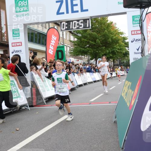 21.09.2025 - PSD Bank Halbmarathon Strokosch-Dieckow http://msf.ph/oto/8938996 21.09.2025 10:28:23 Ziel 158, 163, 213, 220, 240, 270, 288, 425, 442 meine-sportfotos.de