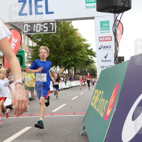 21.09.2025 - PSD Bank Halbmarathon Strokosch-Dieckow http://msf.ph/oto/8939004 21.09.2025 10:28:28 Ziel 157, 158, 163, 213, 240, 270, 316, 425, 461 meine-sportfotos.de