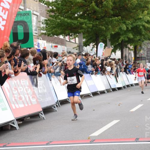 21.09.2025 - PSD Bank Halbmarathon Strokosch-Dieckow http://msf.ph/oto/8939006 21.09.2025 10:28:29 Ziel 157, 158, 163, 213, 215, 240, 270, 316, 425, 461 meine-sportfotos.de