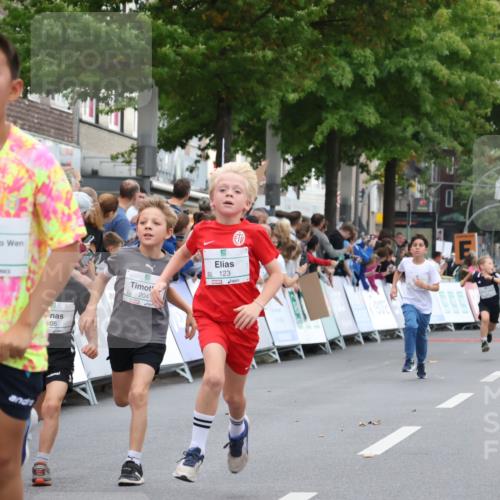 21.09.2025 - PSD Bank Halbmarathon Strokosch-Dieckow http://msf.ph/oto/8939022 21.09.2025 10:28:39 Ziel 123, 150, 157, 197, 204, 205, 215, 317, 321, 426 meine-sportfotos.de