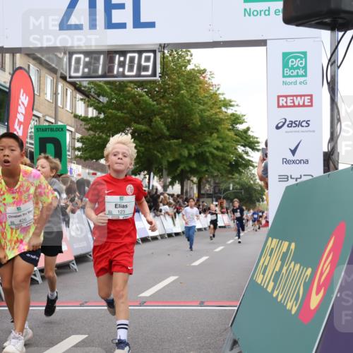 21.09.2025 - PSD Bank Halbmarathon Strokosch-Dieckow http://msf.ph/oto/8939026 21.09.2025 10:28:41 Ziel 123, 150, 197, 198, 204, 205, 215, 317, 321, 361, 374, 426 meine-sportfotos.de