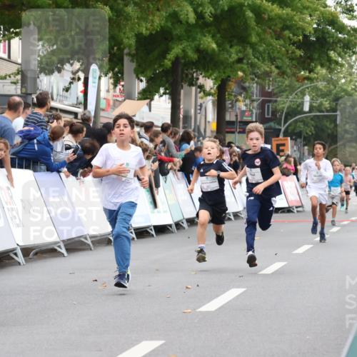 21.09.2025 - PSD Bank Halbmarathon Strokosch-Dieckow http://msf.ph/oto/8939027 21.09.2025 10:28:42 Ziel 123, 150, 197, 198, 204, 205, 317, 321, 361, 374, 426 meine-sportfotos.de