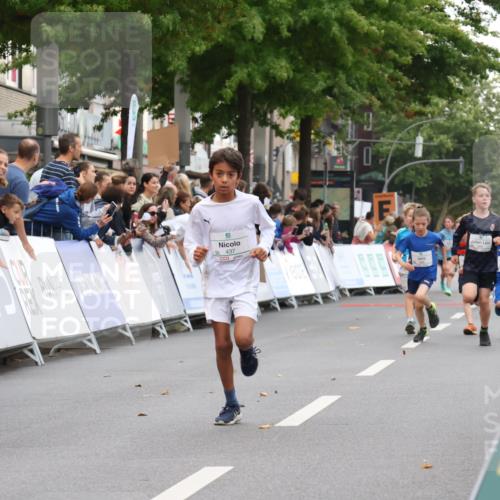 21.09.2025 - PSD Bank Halbmarathon Strokosch-Dieckow http://msf.ph/oto/8939034 21.09.2025 10:28:46 Ziel 123, 197, 198, 204, 205, 357, 361, 374, 388, 389, 408, 437 meine-sportfotos.de