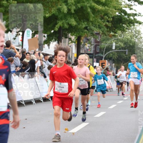 21.09.2025 - PSD Bank Halbmarathon Strokosch-Dieckow http://msf.ph/oto/8939044 21.09.2025 10:28:53 Ziel 109, 126, 255, 266, 357, 361, 371, 388, 389, 397, 408, 437, 440 meine-sportfotos.de