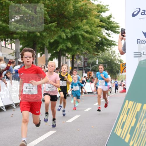 21.09.2025 - PSD Bank Halbmarathon Strokosch-Dieckow http://msf.ph/oto/8939046 21.09.2025 10:28:54 Ziel 109, 126, 255, 266, 357, 371, 388, 389, 397, 408, 415, 437, 440 meine-sportfotos.de