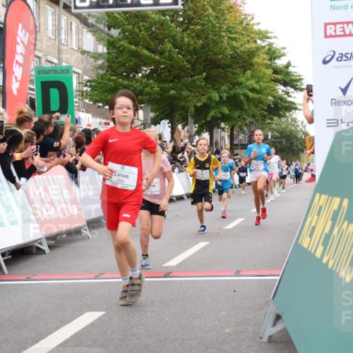 21.09.2025 - PSD Bank Halbmarathon Strokosch-Dieckow http://msf.ph/oto/8939047 21.09.2025 10:28:55 Ziel 109, 126, 255, 266, 337, 357, 371, 388, 389, 397, 408, 415, 437, 440 meine-sportfotos.de