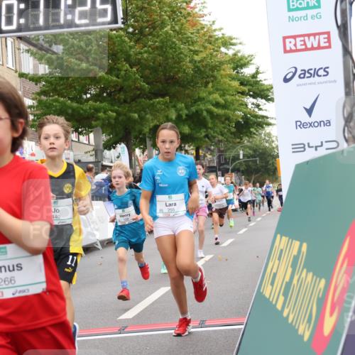 21.09.2025 - PSD Bank Halbmarathon Strokosch-Dieckow http://msf.ph/oto/8939051 21.09.2025 10:28:57 Ziel 109, 126, 142, 193, 255, 266, 337, 338, 357, 371, 388, 389, 397, 408, 415, 440 meine-sportfotos.de
