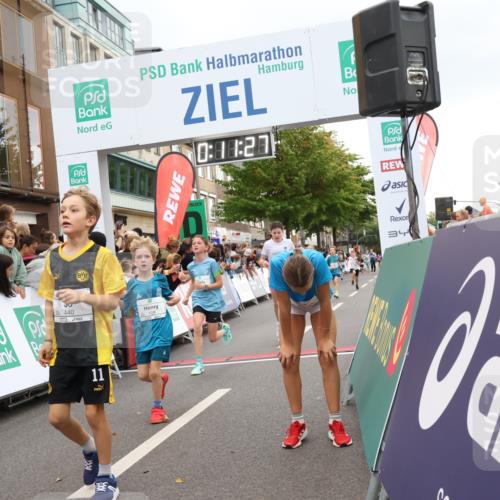 21.09.2025 - PSD Bank Halbmarathon Strokosch-Dieckow http://msf.ph/oto/8939054 21.09.2025 10:28:59 Ziel 109, 126, 142, 193, 194, 255, 258, 266, 337, 338, 371, 397, 412, 415, 440 meine-sportfotos.de