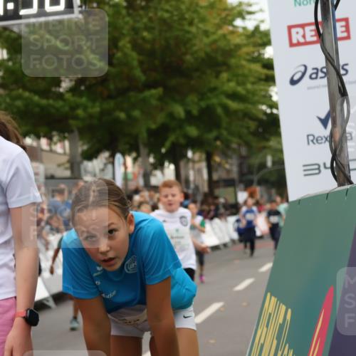 21.09.2025 - PSD Bank Halbmarathon Strokosch-Dieckow http://msf.ph/oto/8939057 21.09.2025 10:29:01 Ziel 109, 134, 142, 167, 193, 194, 212, 255, 258, 266, 337, 338, 397, 412, 415, 440 meine-sportfotos.de