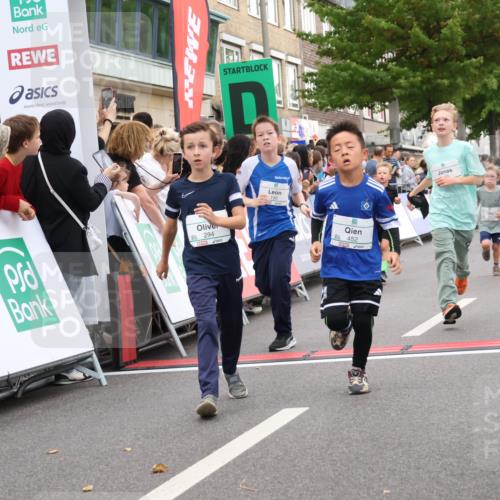 21.09.2025 - PSD Bank Halbmarathon Strokosch-Dieckow http://msf.ph/oto/8939067 21.09.2025 10:29:11 Ziel 134, 155, 167, 168, 196, 212, 267, 294, 412, 443, 452 meine-sportfotos.de
