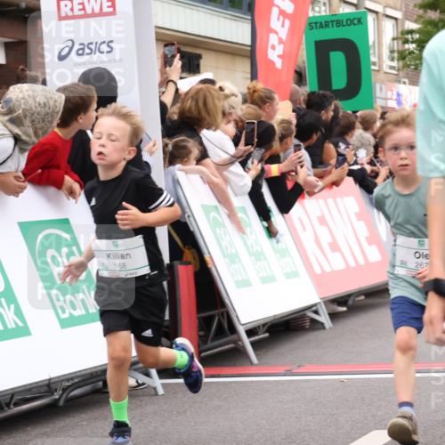 21.09.2025 - PSD Bank Halbmarathon Strokosch-Dieckow http://msf.ph/oto/8939075 21.09.2025 10:29:14 Ziel 155, 168, 196, 267, 294, 443, 452 meine-sportfotos.de