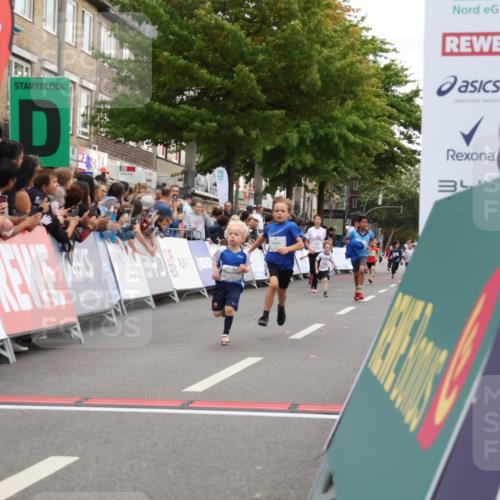 21.09.2025 - PSD Bank Halbmarathon Strokosch-Dieckow http://msf.ph/oto/8939080 21.09.2025 10:29:18 Ziel 155, 168, 196, 267, 327, 390, 416, 443 meine-sportfotos.de