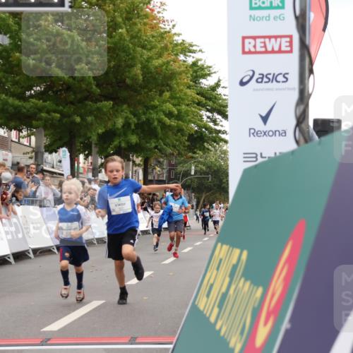 21.09.2025 - PSD Bank Halbmarathon Strokosch-Dieckow http://msf.ph/oto/8939081 21.09.2025 10:29:18 Ziel 155, 168, 196, 267, 327, 390, 416, 443 meine-sportfotos.de