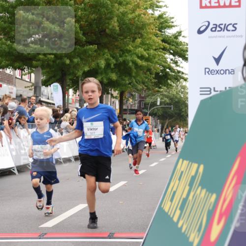 21.09.2025 - PSD Bank Halbmarathon Strokosch-Dieckow http://msf.ph/oto/8939082 21.09.2025 10:29:19 Ziel 155, 168, 267, 327, 390, 395, 416, 443 meine-sportfotos.de