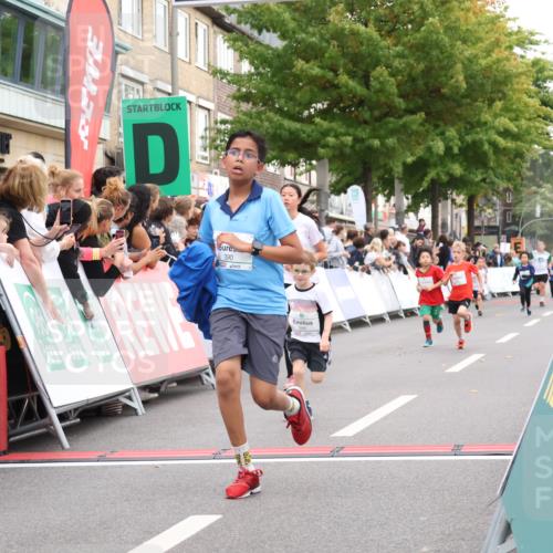 21.09.2025 - PSD Bank Halbmarathon Strokosch-Dieckow http://msf.ph/oto/8939088 21.09.2025 10:29:23 Ziel 261, 327, 345, 390, 395, 416, 455 meine-sportfotos.de