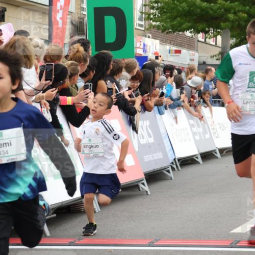 21.09.2025 - PSD Bank Halbmarathon Strokosch-Dieckow http://msf.ph/oto/8939103 21.09.2025 10:29:30 Ziel 166, 233, 250, 261, 301, 345, 381, 390, 395, 406, 434, 455 meine-sportfotos.de
