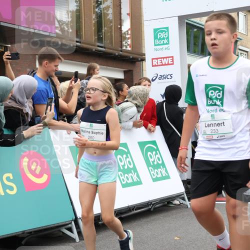 21.09.2025 - PSD Bank Halbmarathon Strokosch-Dieckow http://msf.ph/oto/8939110 21.09.2025 10:29:34 Ziel 166, 233, 250, 301, 345, 381, 406, 434 meine-sportfotos.de