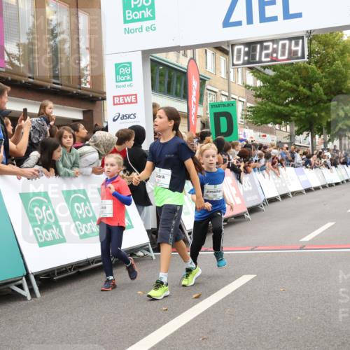 21.09.2025 - PSD Bank Halbmarathon Strokosch-Dieckow http://msf.ph/oto/8939114 21.09.2025 10:29:35 Ziel 166, 233, 250, 301, 345, 381, 406, 434 meine-sportfotos.de