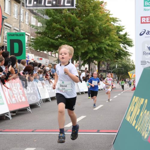 21.09.2025 - PSD Bank Halbmarathon Strokosch-Dieckow http://msf.ph/oto/8939124 21.09.2025 10:29:43 Ziel 132, 235, 328, 393, 453 meine-sportfotos.de