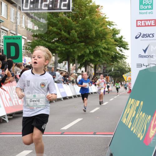 21.09.2025 - PSD Bank Halbmarathon Strokosch-Dieckow http://msf.ph/oto/8939125 21.09.2025 10:29:44 Ziel 132, 235, 300, 328, 393, 453 meine-sportfotos.de