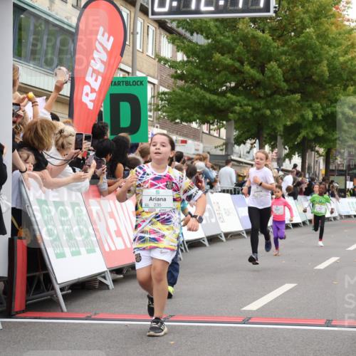 21.09.2025 - PSD Bank Halbmarathon Strokosch-Dieckow http://msf.ph/oto/8939130 21.09.2025 10:29:48 Ziel 103, 132, 235, 271, 296, 300, 328, 393, 453 meine-sportfotos.de