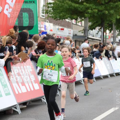 21.09.2025 - PSD Bank Halbmarathon Strokosch-Dieckow http://msf.ph/oto/8939137 21.09.2025 10:29:53 Ziel 103, 201, 235, 271, 296, 300, 319, 393 meine-sportfotos.de
