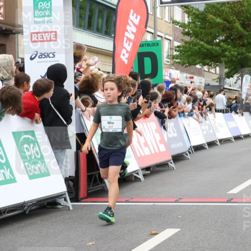 21.09.2025 - PSD Bank Halbmarathon Strokosch-Dieckow http://msf.ph/oto/8939142 21.09.2025 10:29:56 Ziel 103, 131, 201, 271, 296, 300, 319 meine-sportfotos.de