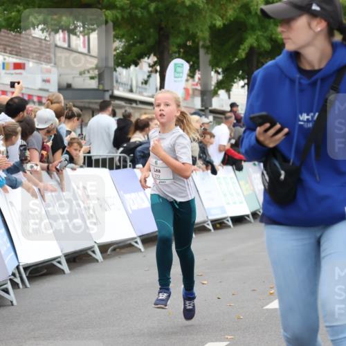 21.09.2025 - PSD Bank Halbmarathon Strokosch-Dieckow http://msf.ph/oto/8939149 21.09.2025 10:30:02 Ziel 131, 195, 201, 272, 276, 430, 438 meine-sportfotos.de