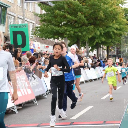 21.09.2025 - PSD Bank Halbmarathon Strokosch-Dieckow http://msf.ph/oto/8939152 21.09.2025 10:30:05 Ziel 131, 195, 234, 272, 276, 430, 438 meine-sportfotos.de