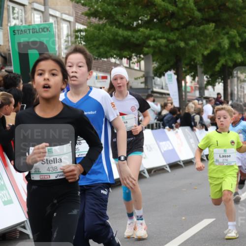 21.09.2025 - PSD Bank Halbmarathon Strokosch-Dieckow http://msf.ph/oto/8939154 21.09.2025 10:30:06 Ziel 131, 140, 195, 234, 272, 276, 430, 438 meine-sportfotos.de