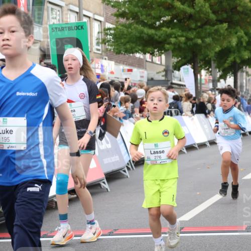 21.09.2025 - PSD Bank Halbmarathon Strokosch-Dieckow http://msf.ph/oto/8939156 21.09.2025 10:30:07 Ziel 131, 140, 195, 234, 272, 276, 430, 438 meine-sportfotos.de