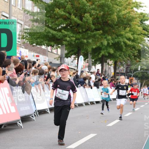 21.09.2025 - PSD Bank Halbmarathon Strokosch-Dieckow http://msf.ph/oto/8939167 21.09.2025 10:30:15 Ziel 140, 141, 145, 231, 234, 245, 448 meine-sportfotos.de