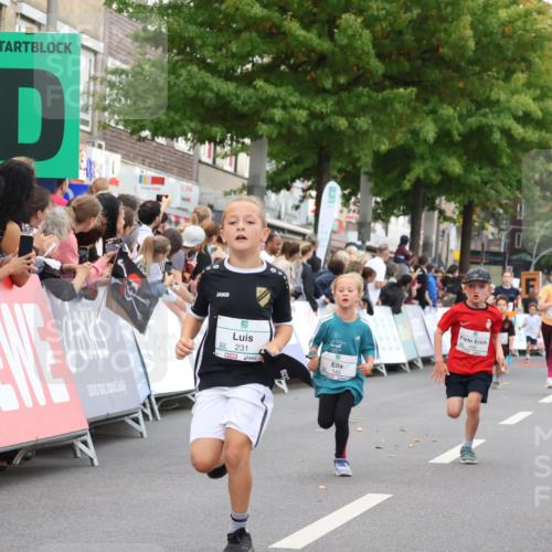 21.09.2025 - PSD Bank Halbmarathon Strokosch-Dieckow http://msf.ph/oto/8939171 21.09.2025 10:30:18 Ziel 140, 141, 145, 231, 245, 448, 459 meine-sportfotos.de