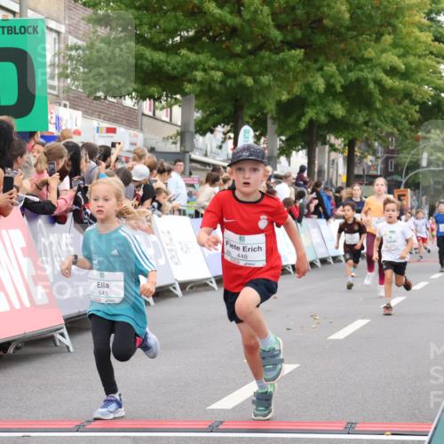 21.09.2025 - PSD Bank Halbmarathon Strokosch-Dieckow http://msf.ph/oto/8939174 21.09.2025 10:30:19 Ziel 141, 145, 231, 243, 245, 448, 459 meine-sportfotos.de