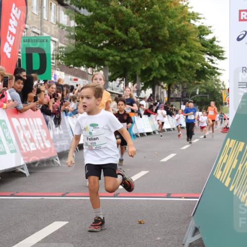 21.09.2025 - PSD Bank Halbmarathon Strokosch-Dieckow http://msf.ph/oto/8939181 21.09.2025 10:30:23 Ziel 145, 227, 231, 243, 245, 343, 377, 407, 448, 458, 459 meine-sportfotos.de