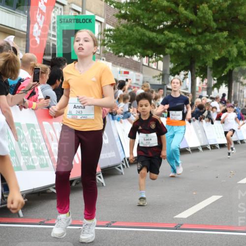 21.09.2025 - PSD Bank Halbmarathon Strokosch-Dieckow http://msf.ph/oto/8939183 21.09.2025 10:30:24 Ziel 102, 104, 145, 227, 231, 243, 343, 377, 407, 448, 458, 459 meine-sportfotos.de