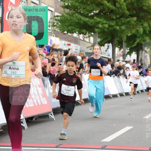 21.09.2025 - PSD Bank Halbmarathon Strokosch-Dieckow http://msf.ph/oto/8939184 21.09.2025 10:30:24 Ziel 102, 104, 145, 227, 231, 243, 343, 377, 407, 448, 458, 459 meine-sportfotos.de