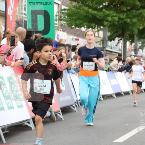 21.09.2025 - PSD Bank Halbmarathon Strokosch-Dieckow http://msf.ph/oto/8939185 21.09.2025 10:30:25 Ziel 102, 104, 145, 227, 231, 243, 343, 377, 382, 407, 448, 458, 459 meine-sportfotos.de