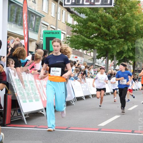 21.09.2025 - PSD Bank Halbmarathon Strokosch-Dieckow http://msf.ph/oto/8939187 21.09.2025 10:30:26 Ziel 102, 104, 145, 227, 243, 343, 377, 382, 407, 448, 458, 459 meine-sportfotos.de