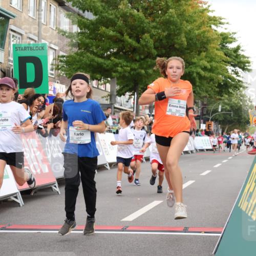 21.09.2025 - PSD Bank Halbmarathon Strokosch-Dieckow http://msf.ph/oto/8939189 21.09.2025 10:30:27 Ziel 102, 104, 145, 227, 243, 343, 377, 382, 407, 448, 458, 459 meine-sportfotos.de