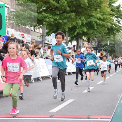 21.09.2025 - PSD Bank Halbmarathon Strokosch-Dieckow http://msf.ph/oto/8939203 21.09.2025 10:30:39 Ziel 129, 151, 263, 344, 351, 370, 375, 431 meine-sportfotos.de