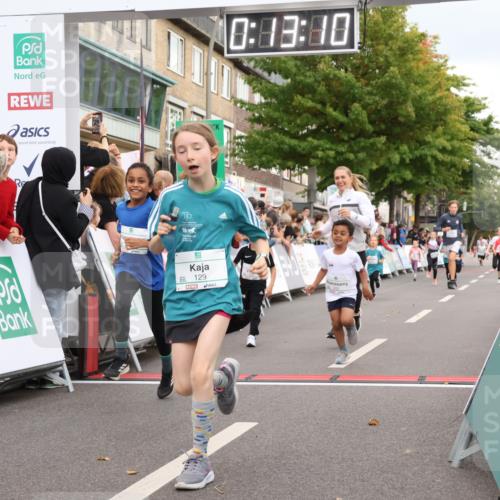 21.09.2025 - PSD Bank Halbmarathon Strokosch-Dieckow http://msf.ph/oto/8939206 21.09.2025 10:30:42 Ziel 116, 129, 151, 263, 344, 351, 370, 375, 431, 456 meine-sportfotos.de