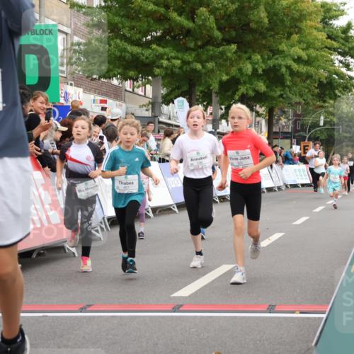 21.09.2025 - PSD Bank Halbmarathon Strokosch-Dieckow http://msf.ph/oto/8939215 21.09.2025 10:30:47 Ziel 116, 129, 151, 246, 263, 320, 324, 370, 375, 402, 405, 431, 456, 457 meine-sportfotos.de
