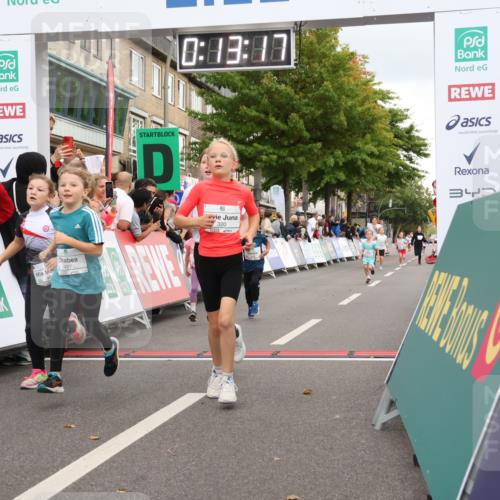 21.09.2025 - PSD Bank Halbmarathon Strokosch-Dieckow http://msf.ph/oto/8939218 21.09.2025 10:30:49 Ziel 116, 117, 246, 263, 320, 324, 375, 402, 405, 431, 456, 457 meine-sportfotos.de