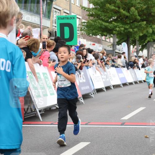 21.09.2025 - PSD Bank Halbmarathon Strokosch-Dieckow http://msf.ph/oto/8939220 21.09.2025 10:30:51 Ziel 108, 116, 117, 246, 320, 324, 335, 402, 405, 456, 457 meine-sportfotos.de
