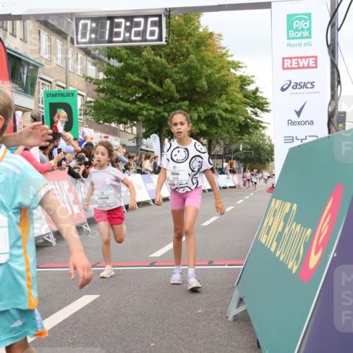 21.09.2025 - PSD Bank Halbmarathon Strokosch-Dieckow http://msf.ph/oto/8939232 21.09.2025 10:30:58 Ziel 108, 117, 192, 318, 324, 335, 403 meine-sportfotos.de