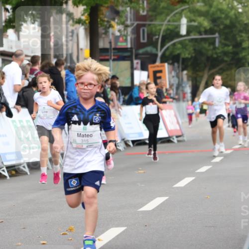 21.09.2025 - PSD Bank Halbmarathon Strokosch-Dieckow http://msf.ph/oto/8939236 21.09.2025 10:31:07 Ziel 315 meine-sportfotos.de